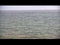 Webcam Algoma, Wisconsin