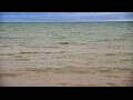 Webcam Algoma, Wisconsin