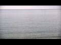 Webcam Algoma, Wisconsin