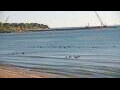 Webcam Algoma, Wisconsin