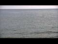 Webcam Algoma, Wisconsin