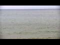 Webcam Algoma, Wisconsin