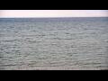 Webcam Algoma, Wisconsin