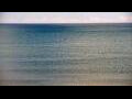 Webcam Algoma, Wisconsin