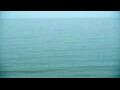 Webcam Algoma, Wisconsin