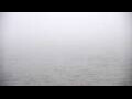 Webcam Algoma, Wisconsin