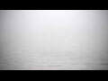 Webcam Algoma, Wisconsin