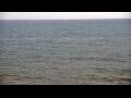 Webcam Algoma, Wisconsin