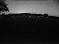 Webcam Wacken