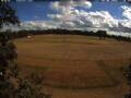 Webcam Wacken