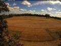 Webcam Wacken