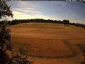 Webcam Wacken