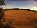 Webcam Wacken
