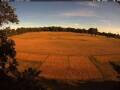 Webcam Wacken