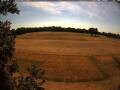 Webcam Wacken