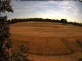 Webcam Wacken