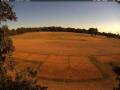 Webcam Wacken