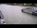 Webcam Honfleur