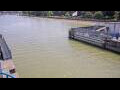 Webcam Honfleur