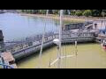 Webcam Honfleur