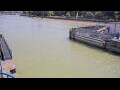Webcam Honfleur