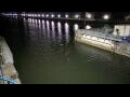 Webcam Honfleur