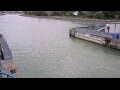 Webcam Honfleur