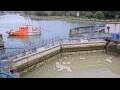 Webcam Honfleur