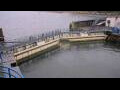 Webcam Honfleur