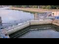 Webcam Honfleur
