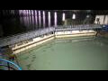 Webcam Honfleur