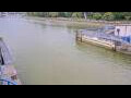 Webcam Honfleur