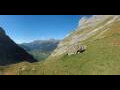 Webcam Grindelwald