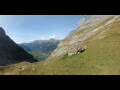 Webcam Grindelwald