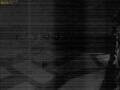 Webcam Scharendijke