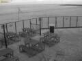 Webcam Scharendijke