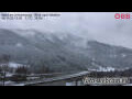 Webcam Wald am Schoberpass