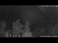 Webcam Altenau (Harz)