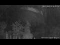 Webcam Altenau (Harz)