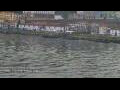 Webcam Porto
