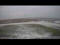 Webcam Hallig Hooge