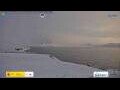Webcam Deception Island