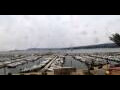 Webcam Saint-Cyr-sur-Mer