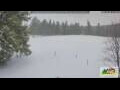 Webcam Todtnauberg: Scheuermattwiese & Ski Slope / Upper Black Forest