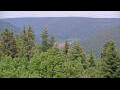 Webcam Bad Wildbad