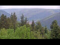 Webcam Bad Wildbad