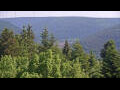 Webcam Bad Wildbad