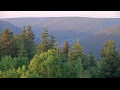 Webcam Bad Wildbad