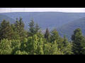 Webcam Bad Wildbad