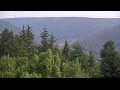 Webcam Bad Wildbad